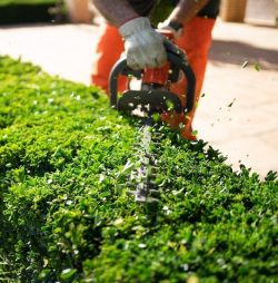 Lawn Care Service In Bethlehem CT