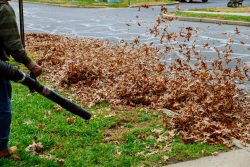 Fall Cleanups Bethlehem CT